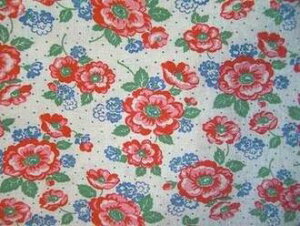 tB[hTbN @nԂԁ@i1/4TCY)