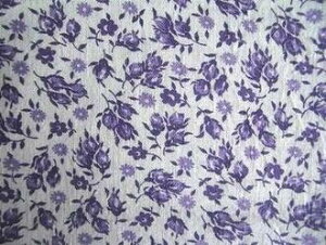 tB[hTbN@np[vڂ݁i1/4TCY)