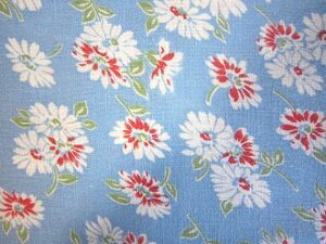 tB[hTbN @u[nԔf[W[ԁ@i1/4TCY)