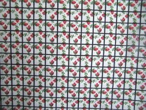 AJ@Be[Wt@ubNnubNɐԃoڂ