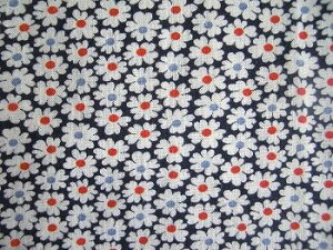 tB[hTbN @lCr[nԁ@i1/16TCYj