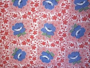 tB[hTbN Ԕwiɐԁ@(1/16TCY)