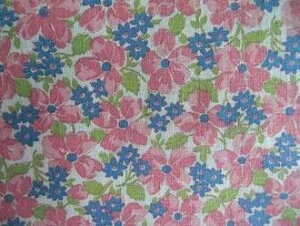 tB[hTbN @nsNu[ԁ@i1/4TCY)