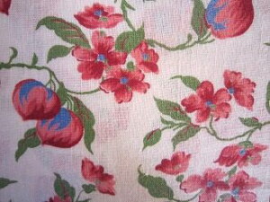 tB[hTbN nԂƃt[c@i1/4TCYj