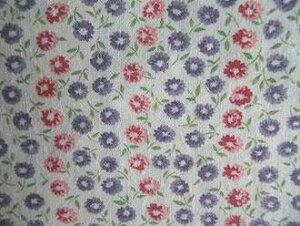 tB[hTbN @nԎԁ@i1/4TCY)