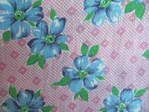 tB[hTbN @sNwiɐԁ@i1/4TCY)