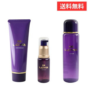 yϕizA[ N[\[v GLX [V et Zbg ێϐ tF[Xϕi ێϐ ƂĂƂ XLPA tFCXPA  ێ 邨  