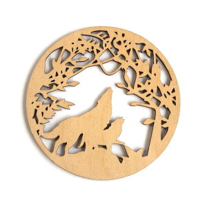 gAjA@ؐR[X^[ EhsIIJ~t