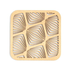 gAjA@ؐR[X^[@XNGAs􉽊w͗l Et