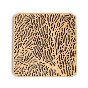 gAjA@ؐR[X^[@XNGAsEB[t