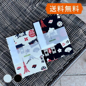 HollyHock z[zbN y唻󒠁z i/Lij s[ t [o  [o W   킢 ^[ xmR o 