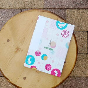  yHollyHock ʘaz [o [֑ ֕E㎿ȕ򏑎 _ t