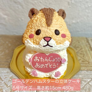 InX^[̗̃P[L (S[fnX^[j5TCY nX^[ ͂ނ[ a j LO P[L 3DP[L ̃P[L ZCP[L aP[L TvC