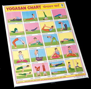 K̑̈ |X^[ / Ch  AWA̋|X^[ {  XebJ[ |XgJ[h