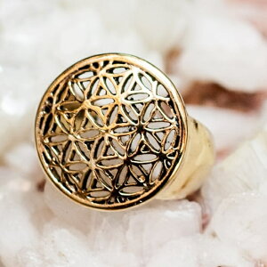 ̉Ԃ̃S[hO / w ANZT[ F Ch _l oO GXjbN AWA ANbg sAX rfB[yr[500~N[| v[gz