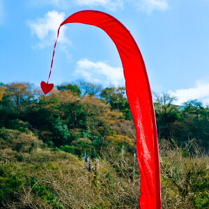 Eu Euiôڂjy2mz / ՗ fR[V p[eB[ AWÅ z Ch t@ubN GXjbN