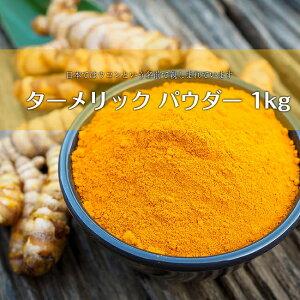 �^�[�����b�N�p�E�_�[ 1kg / Turmeric �E�R�� �T�� �Ɩ��p 1Kg Ambika(�A���r�J) �X�p�C�X �C���h �J���[ �A�W�A���H�i �G�X�j�b�N�H��