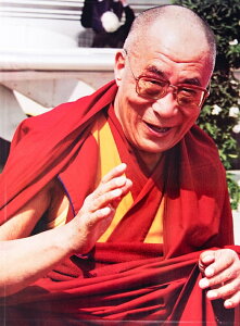 _C }̃|X^[ ߂_C / ^J }_  ^J̃|X^ ֑ɗ Ch {  XebJ[ |XgJ[h