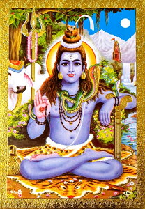 ̐_l|XgJ[h V@ / |X^[ S[h Ch_l {  XebJ[