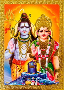 ̐_l|XgJ[h V@ƃp[oeB / |X^[ S[h Ch_l {  XebJ[