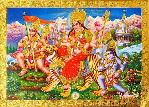 ̐_l|XgJ[h hDK[ nk}[ oC@ / |X^[ S[h Ch_l {  XebJ[