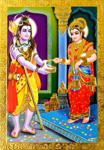 ̐_l|XgJ[h b݂󂯂V@ / |X^[ S[h Ch_l {  XebJ[