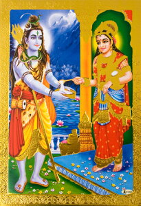 ̐_l|XgJ[h b݂󂯂V@ / |X^[ S[h Ch_l {  XebJ[