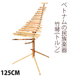 yz xgi̒|Ձigj 130cm / y TRUNG S ؋ Ŋy y̑Ŋy S Chy GXjbNy q[Oyyr[1000~N[| v[g