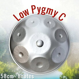 【送料無料】 ハンドパン Low Pygmy C【58cm 8notes】 ソフトケース付属 / スチールパン 打楽器 パーカッション 民族楽器の打楽器 全部 インド楽器 エスニック楽器 ヒーリング楽器【レビューで1000円クーポン プレゼント】