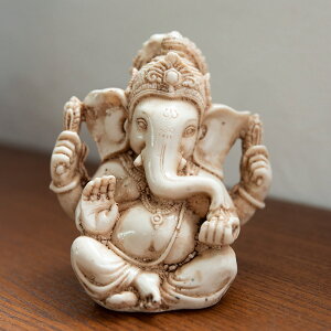 zCg Kl[V 11cm / _l _l W Ch Ch̐_l u GXjbN AWA G