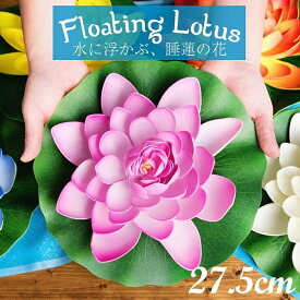 楽天市場 水槽 インテリア 花 ガーデン Diy の通販