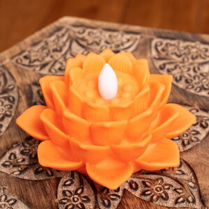 @̓ E\NLED[^XLhCgk6.5cm×11.8cml / LEDLhCg ^ eB[CgLh XC LhX^h AWA CeA GXjbN