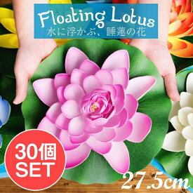 楽天市場 エスニック 花 観葉植物 花 ガーデン Diy の通販