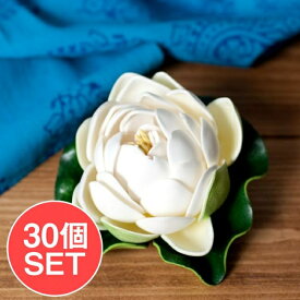 楽天市場 水槽 インテリア 花 ガーデン Diy の通販