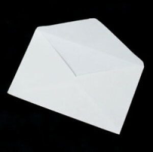 インドの押し葉メッセージカード&封筒セット GREETING CARD / チマンラール Chimanlals レターセット ステーショナリー 文房具 チマンラールのレターセット 便箋 エスニック アジア 雑貨