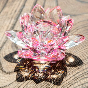 y8.5cmz6FWJ NX^̃[^X / KX u ̑ Ch ^C o ς GXjbN AWA G