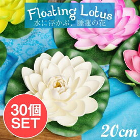 楽天市場 水槽 インテリア 花 ガーデン Diy の通販