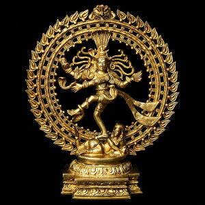 ԌSuperSale yz _VO V@ 48.5cm / V@ _l i^W qhD[ i^[W pVpeB shiva Ch̐_l u GXjbN AWA G݁y