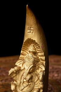 gD[XKl[V S[h 20cm / _l _l W Ch Ch̐_l u GXjbN AWA G݁yr[500~N[| v[gz