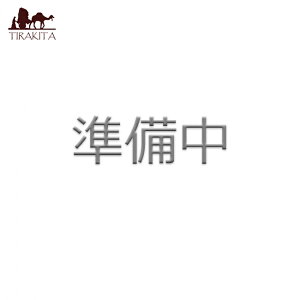 yz T~}C ^bg | SAMIRAMAY tarot / INJ[h 肢 J[h肢 Vieux Monde Express p֘AS m} R[q[J[h Ch {  XebJ[ |XgJ[h