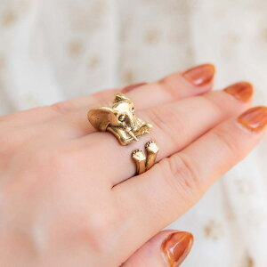 yS̃t[TCYzCĥ񃊃O / Kl[V w g S[h  _l oO GXjbN AWA ANZT[ ANbg sAX rfB[yr[500~N[