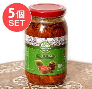 �y5�Z�b�g�z�C���h�̃s�N���X �i�A�`���[���j �}���S�[400g �yAMBIKA�z / �Е� �C���h���� ���� �X�p�C�X �J���[ �A�W�A���H�i �G�X�j�b�N�H��