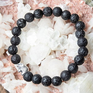 Ch̐uXbg VRn×Vo[ / ANZT[ VR AWA GXjbN ANbg sAX O rfB[yr[500~N[| v[gz