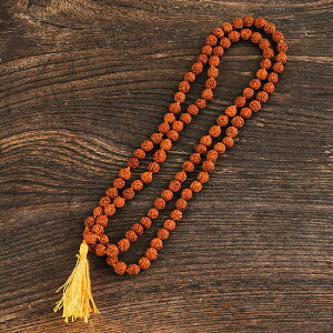 Ch̐ 󏭂ȏhNV 70cm / AWA GXjbN ANZT[ ANbg sAX O rfB[