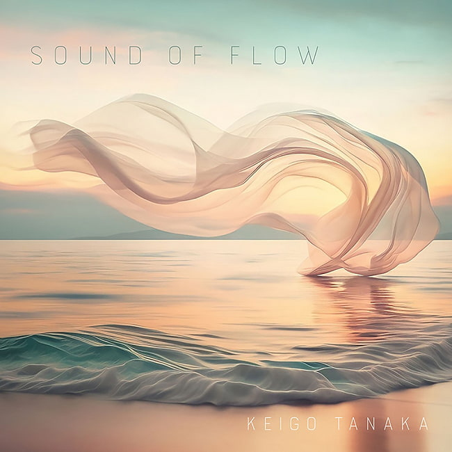 Sound of Flow Keigo Tanaka CD   環境音楽 アンビエント ととのい メディテーション ヒーリング サウナ Niceness music ナイスネスミュージック アジアンマッシヴ ラウンジ チルアウト トランス ゴア レイブ スオミ