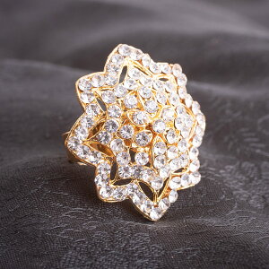 ԂrW[O _C / Ch ANZ w T[ ߑ LL _l oO GXjbN AWA ANZT[ ANbg sAX rfB[