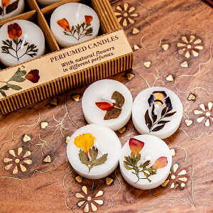 Cottage tOXLh 4 MtgZbg / v[g yY 낤   COTTAGE(Re[W) A}Lh CZX Ch AWA GXjbN