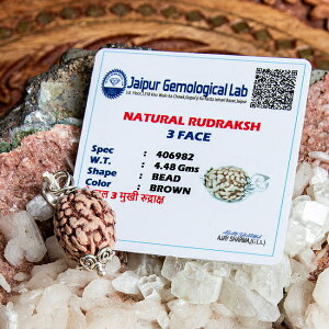 y3ʁzӒ菑t Ȃ hNṼy_ggbv /  Ch̐ lbNX  ANZ ANZT[ MALA AWA GXjbN ANbg sAX O rfB