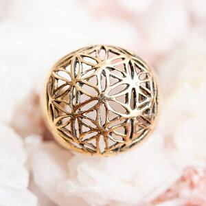 ̉ ՂS[hO  / w ANZT[ F t[IuCt Ch _l oO GXjbN AWA ANbg sAX rfB[