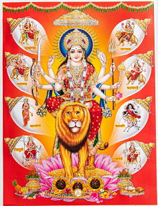 k40.5cm×30.5cmlP Ch̃qhD[_l|X^[ hDK[ ̏_ / f[@_ p[@eB[ Ch̐_l A|X^[ {  XebJ[ |XgJ[h